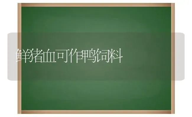 鲜猪血可作鸭饲料 | 家畜养殖