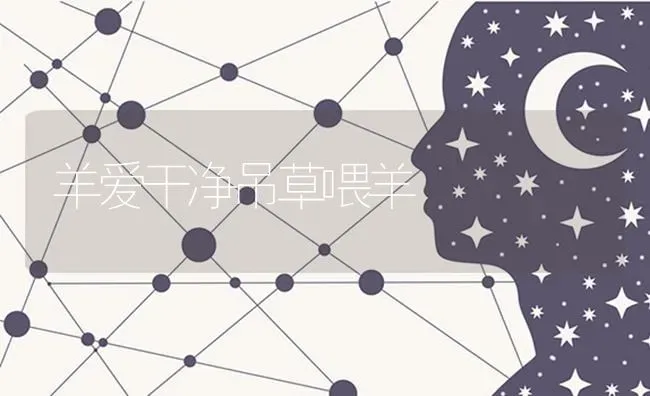 羊爱干净吊草喂羊 | 家畜养殖