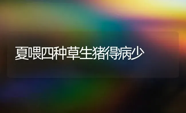 夏喂四种草生猪得病少 | 家畜养殖