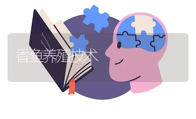 香鱼养殖技术 | 淡水养殖