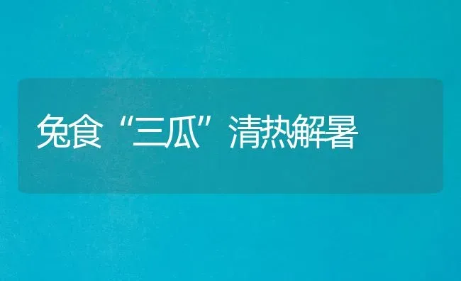 兔食“三瓜”清热解暑 | 家畜养殖