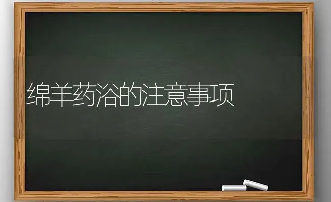 绵羊药浴的注意事项 | 养殖病虫害防治