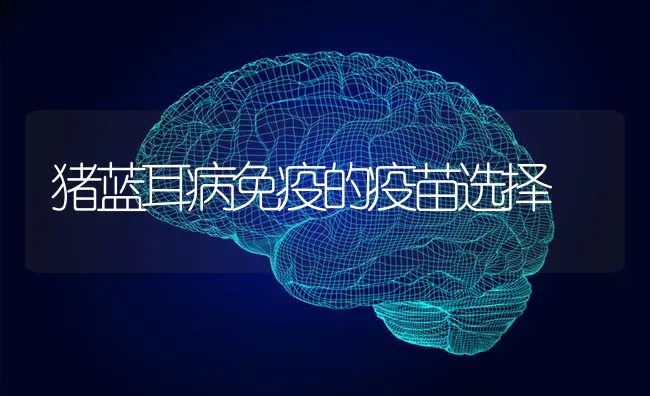 猪蓝耳病免疫的疫苗选择 | 家畜养殖