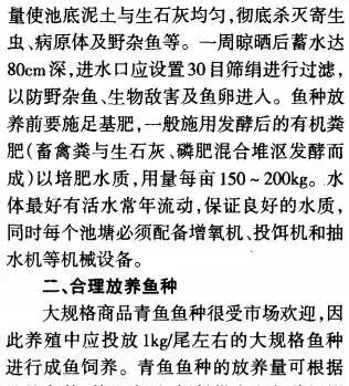 青鱼池塘高产养殖技术介绍