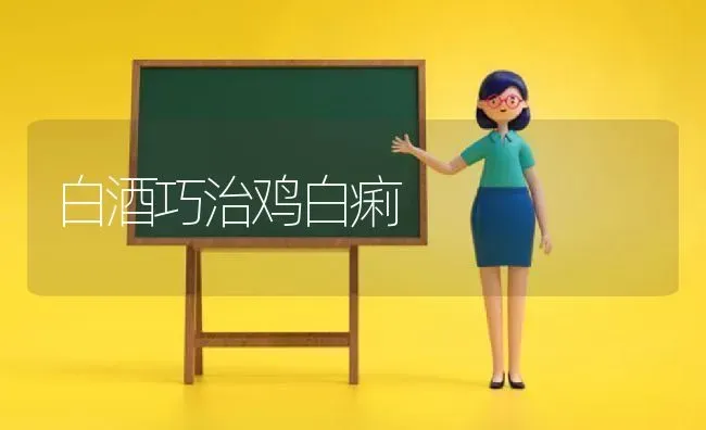 白酒巧治鸡白痢 | 家禽养殖