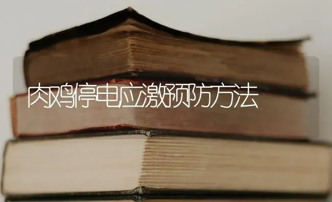 肉鸡停电应激预防方法 | 家禽养殖