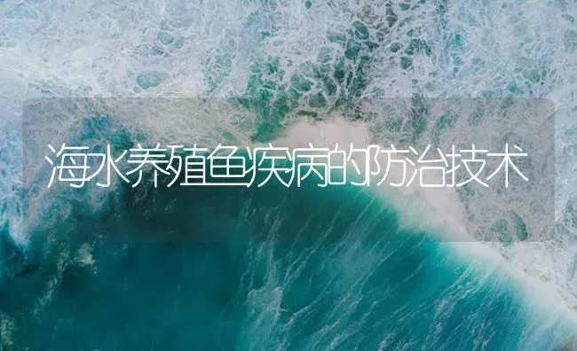 海水养殖鱼疾病的防治技术 | 海水养殖