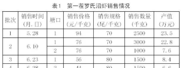 大棚三茬虾养殖模式，拉长销售期，避开高峰期，卖出高价虾