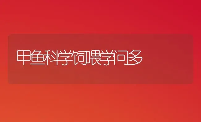 甲鱼科学饲喂学问多 | 淡水养殖