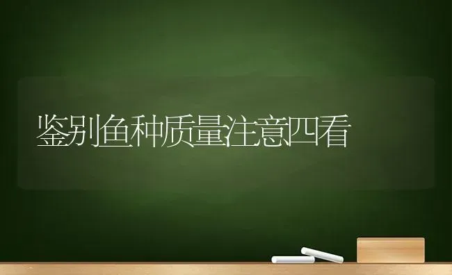 鉴别鱼种质量注意四看 | 淡水养殖