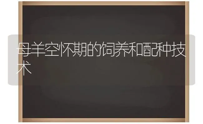 母羊空怀期的饲养和配种技术 | 家畜养殖