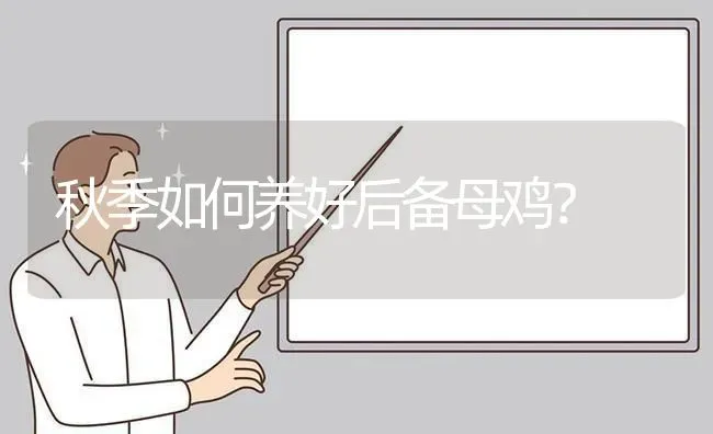 秋季如何养好后备母鸡？ | 家禽养殖