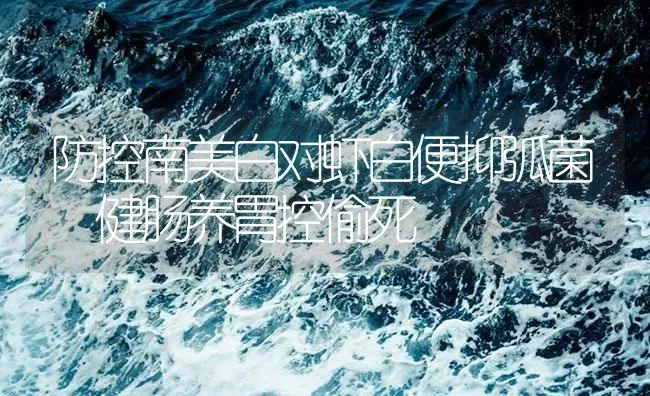防控南美白对虾白便抑弧菌 健肠养胃控偷死 | 海水养殖