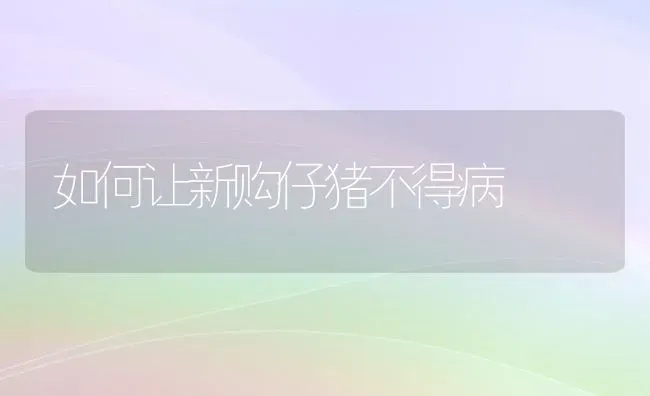 如何让新购仔猪不得病 | 家畜养殖