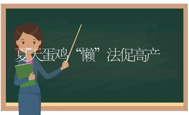 夏天蛋鸡“懒”法促高产 | 家禽养殖