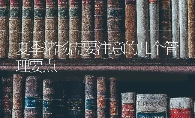 夏季猪场需要注意的几个管理要点 | 家畜养殖