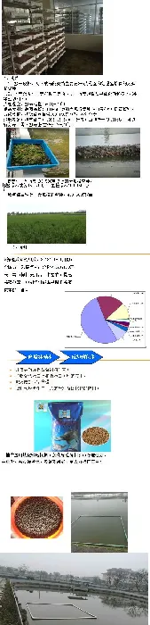 水产专家何中央详解中华鳖主要养殖模式与技术