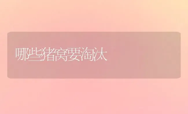 哪些猪窝要淘汰 | 家畜养殖