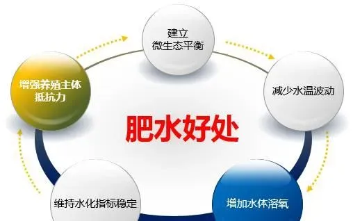 9月青虾养殖要点：水质管理和病害防治