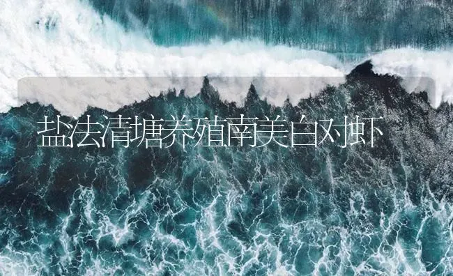 盐法清塘养殖南美白对虾 | 海水养殖