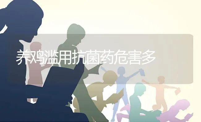 养鸡滥用抗菌药危害多 | 养殖病虫害防治