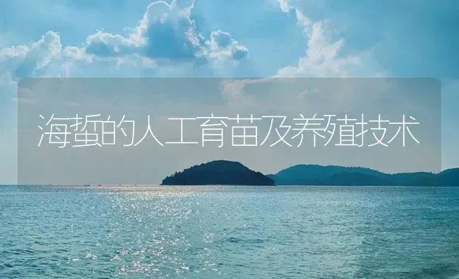 海蜇的人工育苗及养殖技术 | 海水养殖