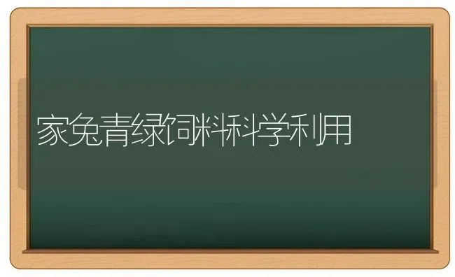 家兔青绿饲料科学利用 | 动物养殖饲料