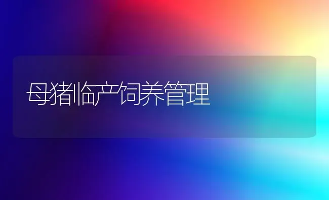 母猪临产饲养管理 | 家畜养殖