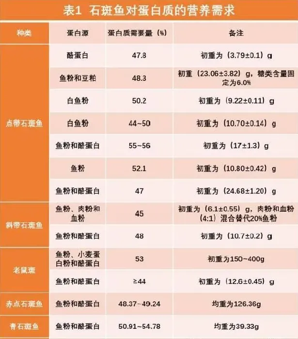 石斑鱼的营养需求研究