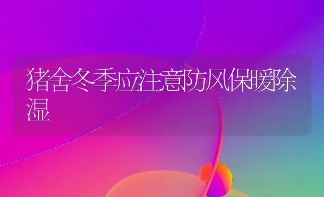 猪舍冬季应注意防风保暖除湿 | 家畜养殖