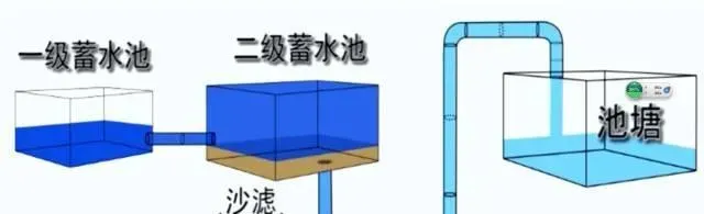 有多少人在调水养水这条路上越走越偏