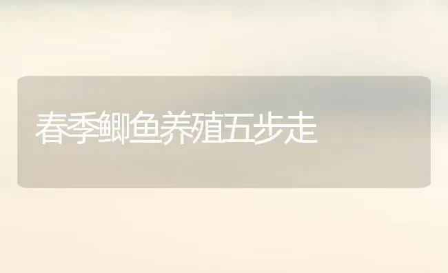 春季鲫鱼养殖五步走 | 淡水养殖