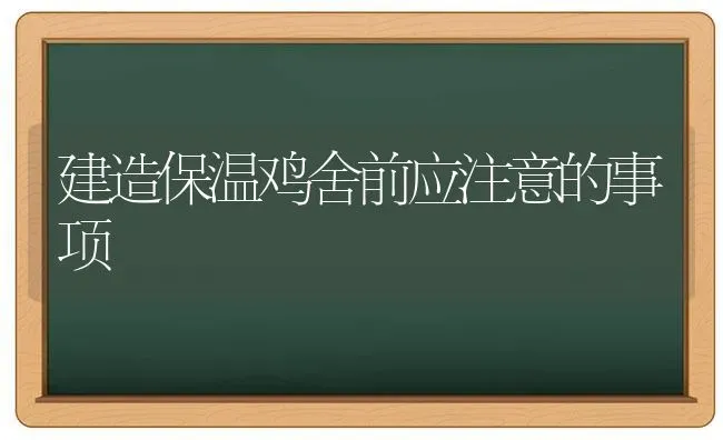 建造保温鸡舍前应注意的事项 | 家禽养殖