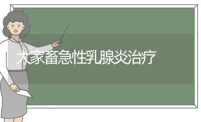 大家畜急性乳腺炎治疗 | 家畜养殖