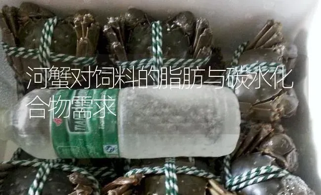 河蟹对饲料的脂肪与碳水化合物需求 | 淡水养殖