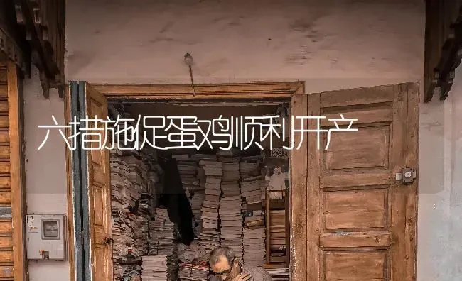 六措施促蛋鸡顺利开产 | 家禽养殖