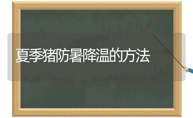 夏季猪防暑降温的方法 | 家畜养殖