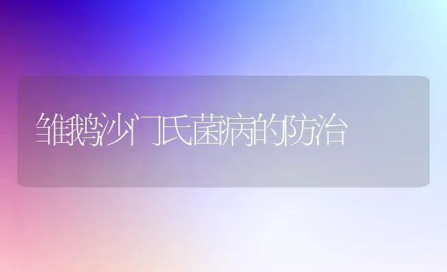 雏鹅沙门氏菌病的防治 | 家禽养殖