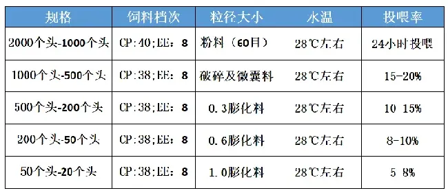 水花培育是斑点叉尾鮰养殖的第一关