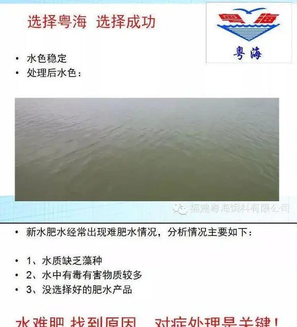池塘水质难肥案例分享：找到原因对症处理最关键