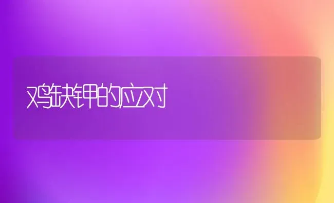 鸡缺钾的应对 | 家禽养殖