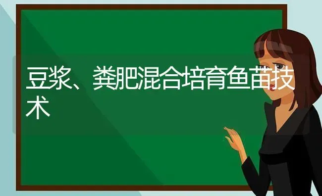 豆浆、粪肥混合培育鱼苗技术 | 淡水养殖