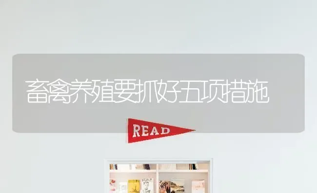 畜禽养殖要抓好五项措施 | 家禽养殖