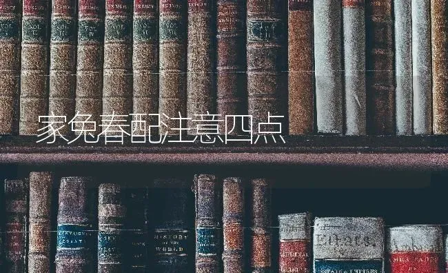 家兔春配注意四点 | 家畜养殖