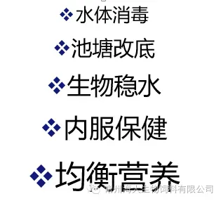 9月青虾养殖要点：水质管理和病害防治