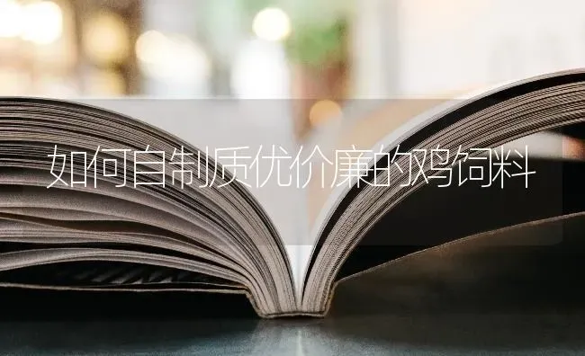 如何自制质优价廉的鸡饲料 | 家禽养殖