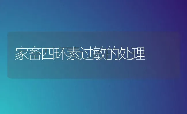 家畜四环素过敏的处理 | 家畜养殖