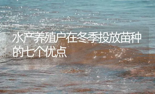 水产养殖户在冬季投放苗种的七个优点 | 淡水养殖