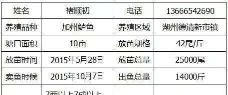 全熟化加州鲈鱼料率先出鱼 两万五苗首批出鱼一万四千斤