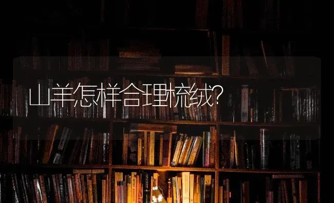 山羊怎样合理梳绒？ | 家畜养殖